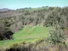Landschappen van de Ardèche - Groene landschap bestaat uit bomen en weiden