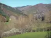 Landschappen van de Ardèche - Regionale Natuurpark van de Monts d'Ardèche: groene landschap van weilanden, bomen en bos