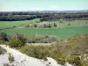 Landschappen van de Aude - Greenery Cabardès