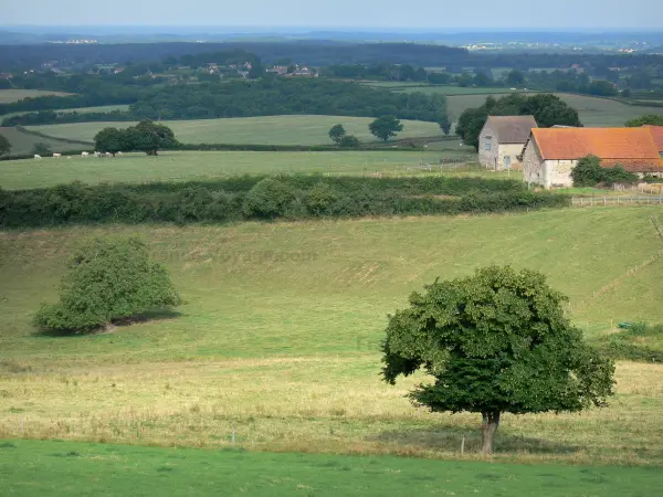 Landschappen van Bourgondië - Boerderij, omgeven door bossen