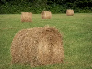 Landschappen van Bourgondië - Balen hooi in een weide