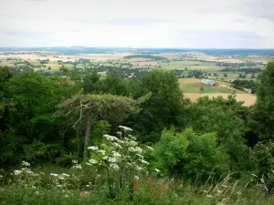 Landschappen van Bourgondië - Uitzicht op de Nivernais vanaf de top van de heuvel Montenoison