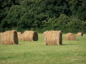 Landschappen van Bourgondië - Balen hooi in een weide