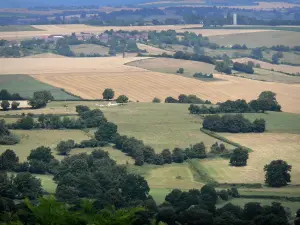 Landschappen van Bourgondië - Uitzicht op de Nivernais vanaf de top van de heuvel Montenoison