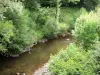 Landschappen van de Cantal - Maronne Valley: Maronne rivier omzoomd met bomen