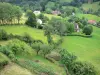 Landschappen van de Cantal - Parc Naturel Régional des Volcans d'Auvergne: Tournemire huizen omgeven door groen