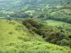 Landschappen van de Cantal - Parc Régional des Volcans d'Auvergne Natural - Monts du Cantal: groen panorama