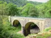 Landschappen van de Cantal - Maronne Valley: brug over de rivier Maronne in een bosrijke omgeving