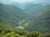 Landschappen van de Cantal - Groen uitzicht vanaf de rots Ronesque
