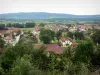 Landschappen van de Doubs - Huizen in het dorp Goux-les-Usiers omgeven door bomen en weiden