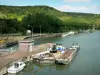 Landschappen van de Eure - Binnenvaartschepen rond de sluizen Amfreville-by-the-gebergte, rivier de Seine, en de groene wal, in de vallei van de Seine