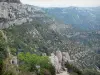 Landschappen van Gard - Een deel van Navacelles