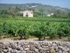Landschappen van Gard - Côtes du Rhône: stenen muur, wijngaarden, en cabine heuvel, vol met bomen