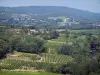 Landschappen van Gard - Côtes du Rhône wijngaarden, bomen, huizen en heuvels