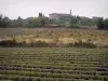 Landschappen van Gard - Lavendel veld, een dorp op de achtergrond