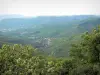 Landschappen van Gard - Bomen op de voorgrond met uitzicht op de heuvels en bergen