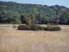 Landschappen van Gard - Field en bomen