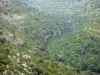 Landschappen van Gard - Bergen bezaaid met vegetatie