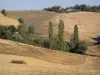 Landschappen van Gascogne - Glooiende velden