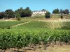 Landschappen van Gironde - Bordeaux : wijngaarden van Saint- Emilion