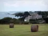 Landschappen van de kust van Bretagne - Emerald Coast: weide met hooibergen, huizen, bomen, heuvels, rotsen en de zee