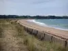 Landschappen van de kust van Bretagne - Emerald Coast: helmgras, strand zand, zee en kust