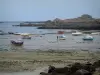 Landschappen van de kust van Bretagne - Laagwater met kleine boten en trawlers, algen, kusten en kliffen, wo