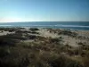 Landschappen van de kust van de Charente-Maritime - Arvert schiereiland: duinen bedekt met helmgras met uitzicht op de zee (Atlantische Oceaan)