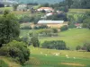 Landschappen van de Landes - Groene en heuvelachtige landschap Chalosse