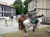 Landschappen van de Landes - Paarden wandelen maken een stop bij de vakwerkhuizen van het dorp Levignacq