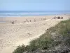 Landschappen van de Landes - Silver Coast: uitzicht op het zandstrand van de badplaats Mimizan-Plage