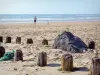 Landschappen van de Landes - Silver Coast: palen in het zand op de voorgrond met uitzicht op het strand van Mimizan Beach en de Atlantische Oceaan