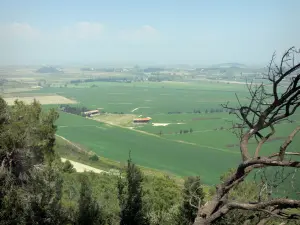 Landschappen van de Languedoc - Vanaf de heuvel van de oppidum Enserune, met uitzicht op de omliggende velden, bomen op de voorgrond