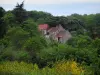 Landschappen van de Limousin - Bloeiende brem en huizen van het dorp, omringd door bomen Masgot