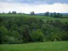 Landschappen van de Limousin - Meadows, bomen en wolken in de lucht
