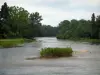 Landschappen van de Loir-et-Cher - River (Cher), met bomen omzoomde