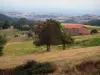 Landschappen van de Loire - Boerderij, weiden, velden, bomen en kleine heuvels