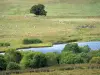 Landschappen van de Lozère - Aubrac Lozère - Meren Route: Souverols Lake (of Lake Souveyrols) en zijn omgeving bewaard gebleven