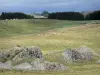 Landschappen van de Lozère - Weiden van Aubrac Lozère, rocken op de voorgrond