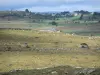 Landschappen van de Lozère - Weiden van Aubrac Lozère wordt omgeven door droge stenen muren