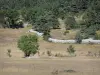 Landschappen van de Lozère - Causse Mejean - Parc National des Cevennes: weilanden bezaaid met bomen en droge stenen