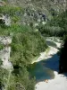 Landschappen van de Lozère - Gorges du Tarn - het Parc National des Cevennes: rivier de Tarn, bomen en rotswanden