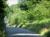 Landschappen van de Mayenne - Weg door het bos van Mayenne