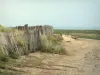 Landschappen van Normandië - Sandy steegje leidt tot de baai van Mont Saint-Michel