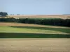Landschappen van Picardie - Opvolging van de velden