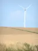Landschappen van Picardie - Dominant windveld