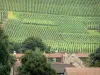 Landschappen van Picardie - Daken van huizen en velden van de wijngaarden van de Champagne (Champagne wijngaard)