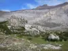 Landschappen van de Pyreneeën - Cirque Troumouse (Pyreneeën Nationaal Park): rotsen, wilde bloemen, gazon en rotswanden van het circus dat een wand (muur) natuurlijke