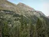 Landschappen van de Pyreneeën - Berg met uitzicht op het bos