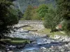 Landschappen van de Pyreneeën - Brug over de rivier en de bomen aan de rand van het water